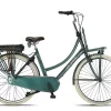 Altec Velo Electrique Femme Hollandais 28 Pouces Moteur Pedalier Troja N7 Vert