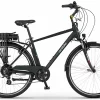 Ecobike Velo Hollandais Electrique Homme 28 Pouces Retro 35km/h Noir 630Wh