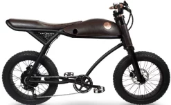 Fat Bike Electrique Vintage 20 Pouces Rayvolt Ringo Retro Noir 594Wh