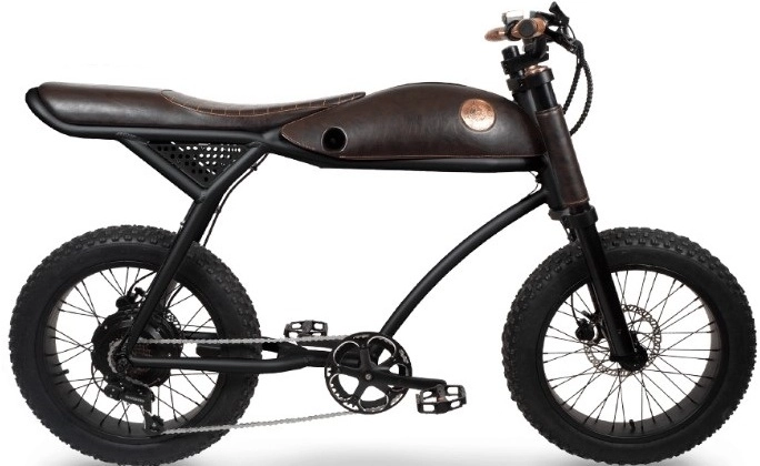 Fat Bike Electrique Vintage 20 Pouces Rayvolt Ringo Retro Noir 594Wh