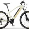 Ecobike S Pedelec 45 Km/h Mountainbike 29 Pouces Moteur Pedalier SX300 Or 560Wh